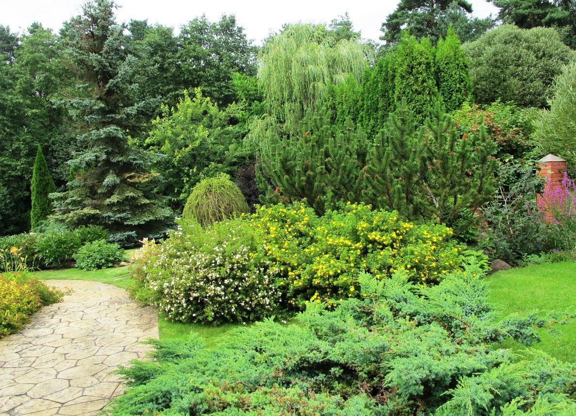 Ливадия на Истре