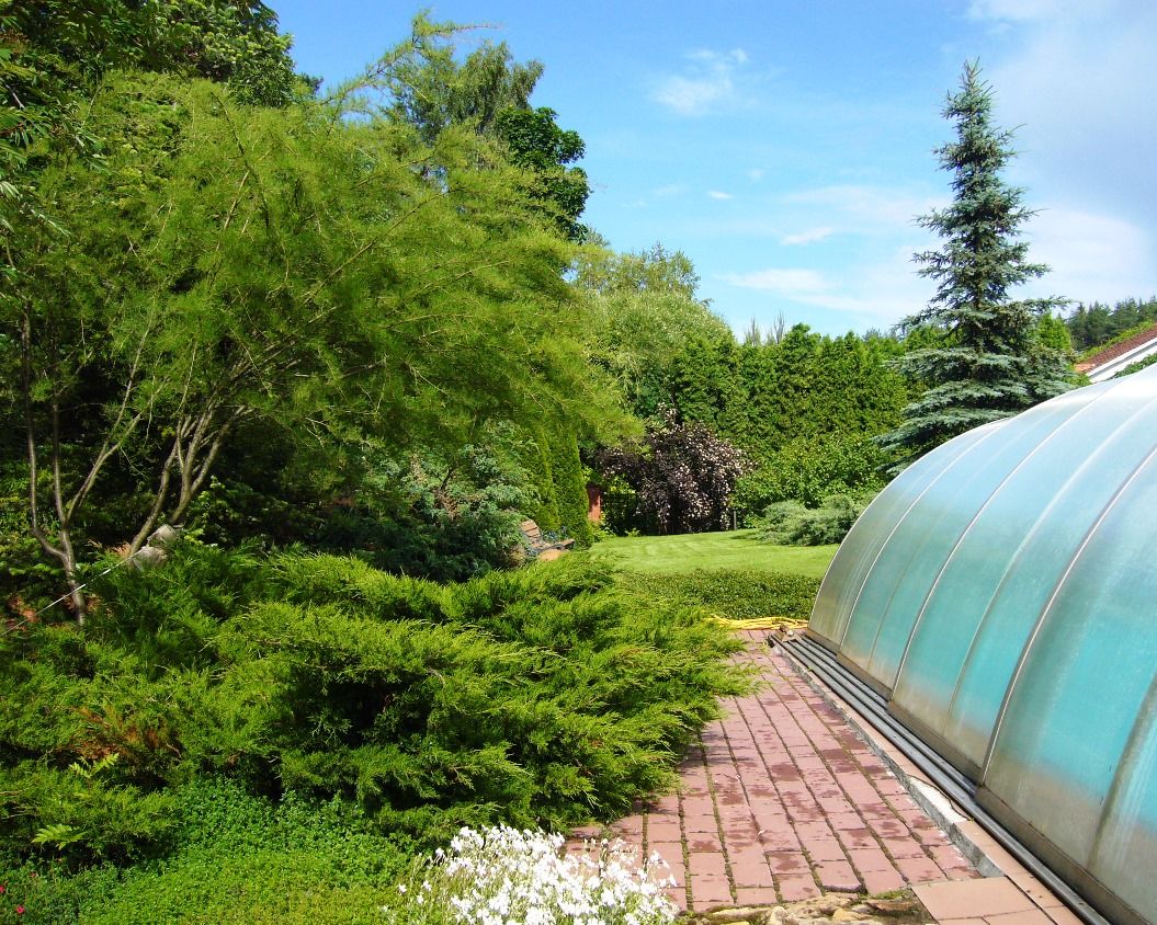 Ливадия на Истре